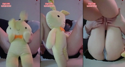 Erlebe die Spannendste Erwachsenenunterhaltung Online