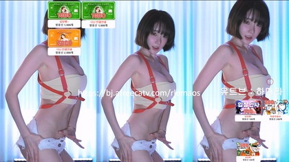 The Forgotten Elegance of Vintage Adult Entertainment